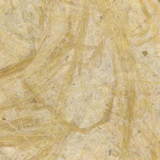 Grass
