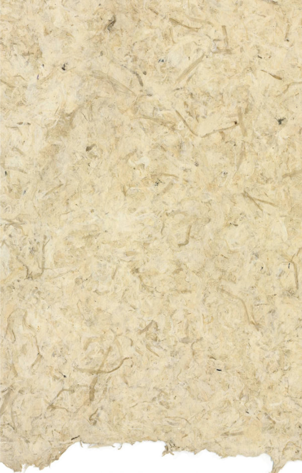 Leeks sample