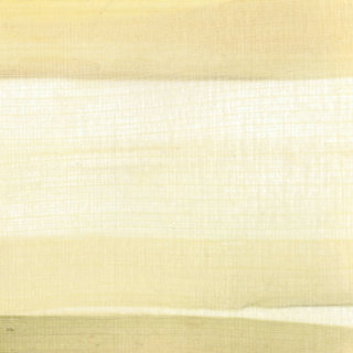 Leeks papyrus