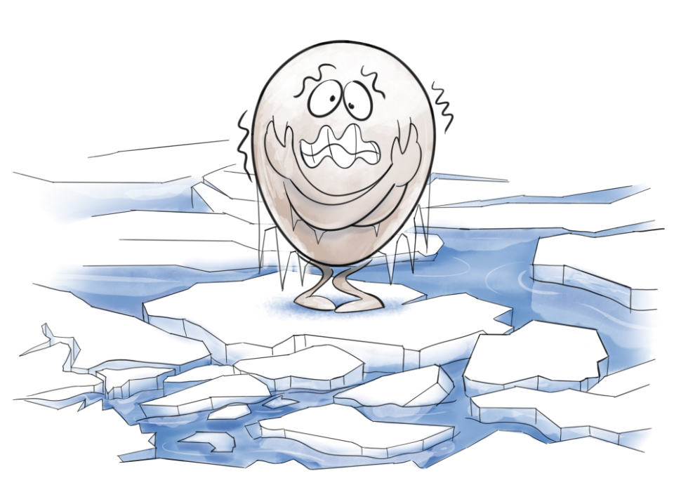 Too cold