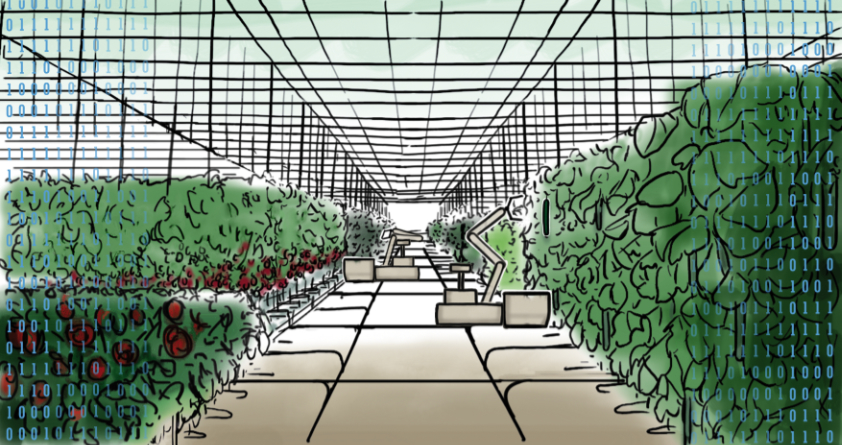 Greenhouse