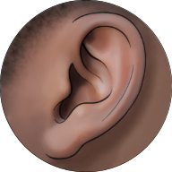 Ear